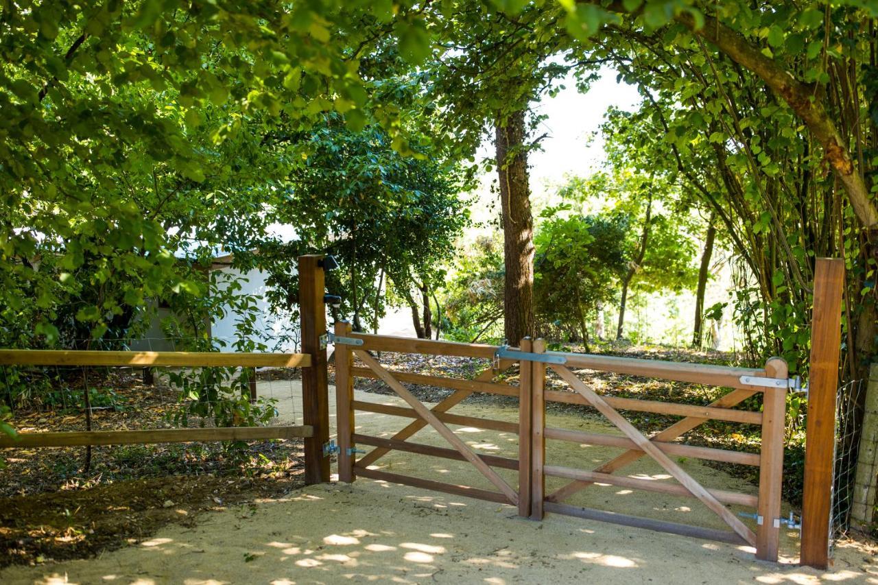The Cabin Morris Holsbeek المظهر الخارجي الصورة